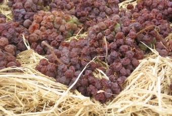 Вяление винограда для токая