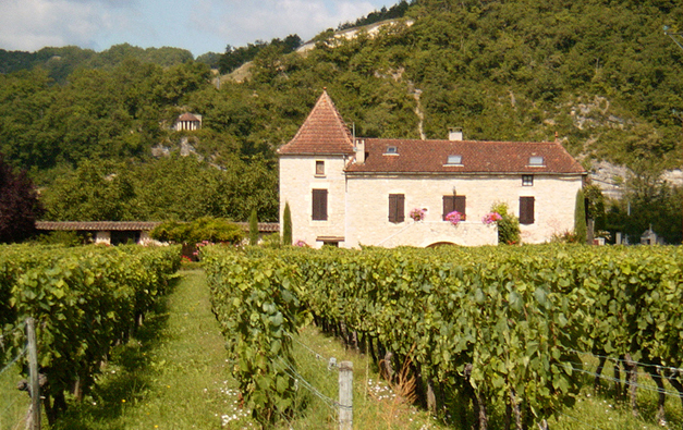 Виноградники во Франции