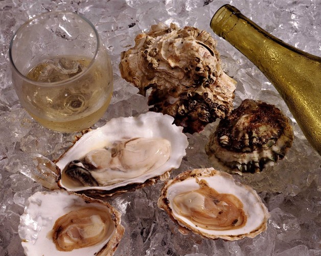 Шампанское Деламотт идеально подойдет к морепродуктам