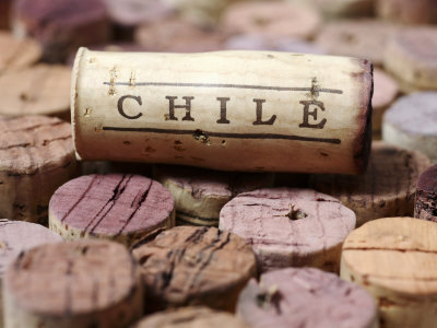 чилийские вина