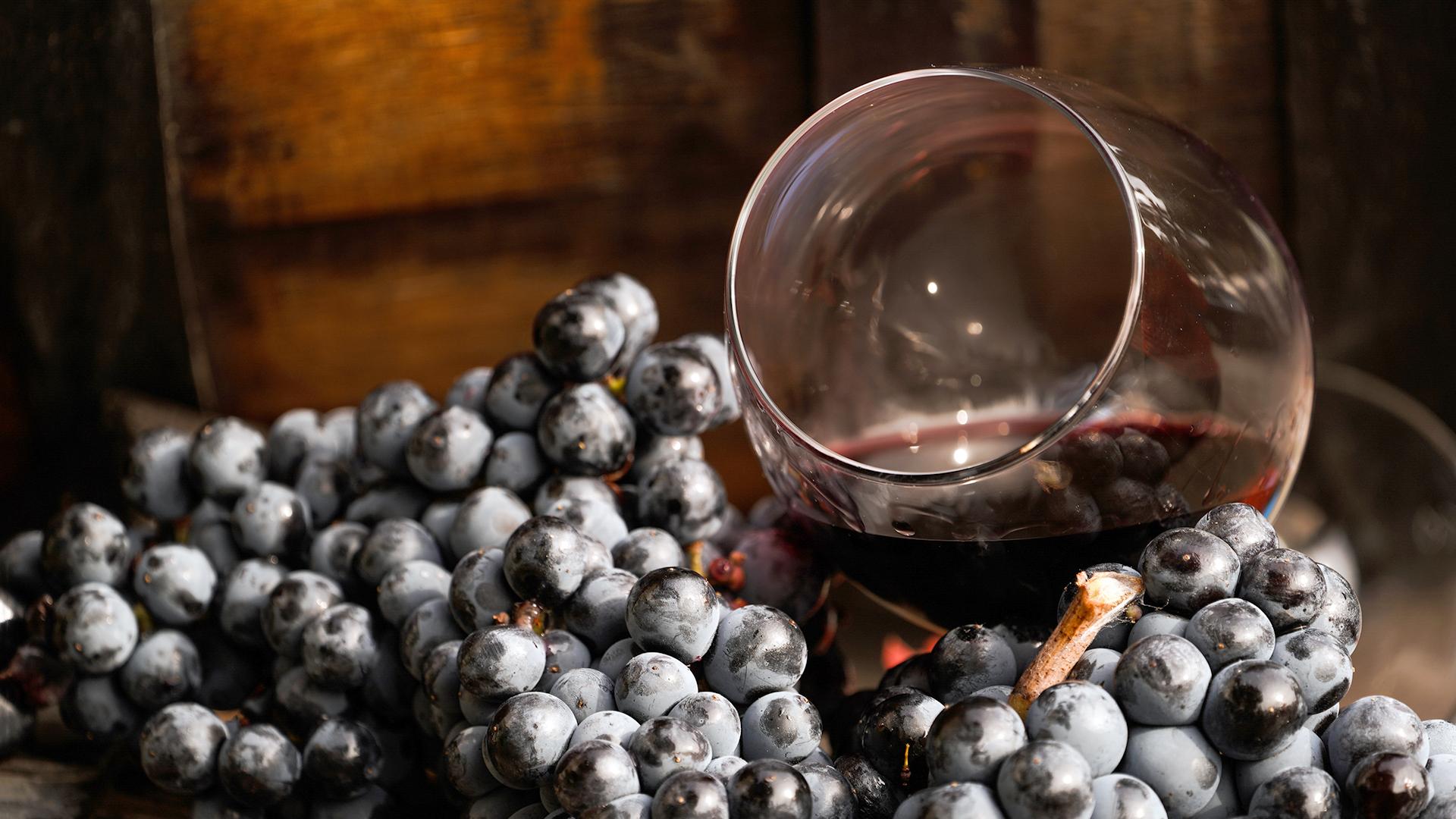 закон о виноградарстве и виноделии