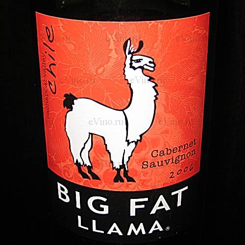 Big fat llama