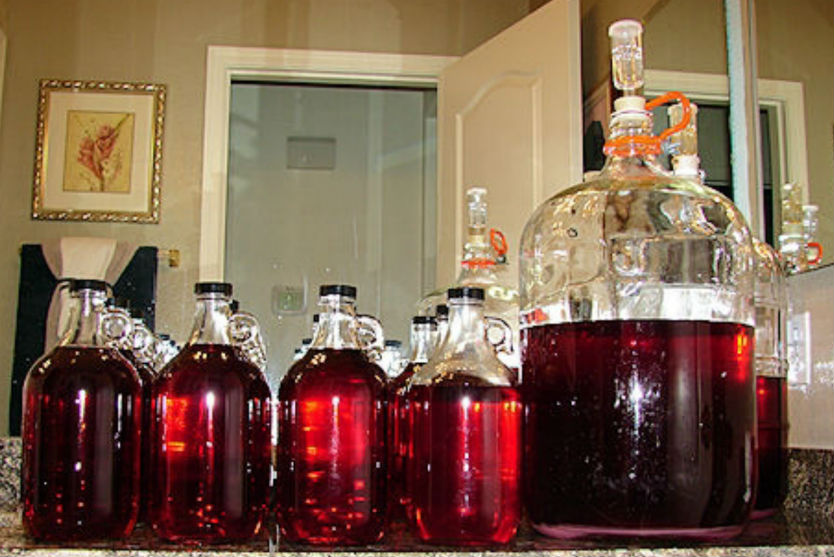 Как сделать настойку из винограда «Изабелла» на водке, рецепты настоек на спирте и самогоне